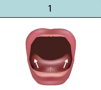 Corners of tongue can reach mid mouth