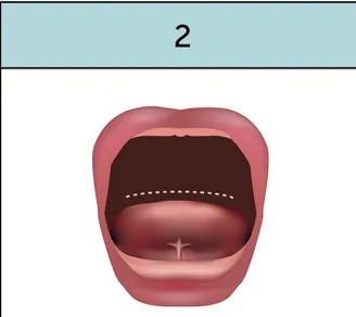 Tongue is rounded